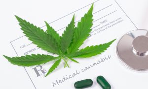 Medical marijuana prescription with stethoscope .